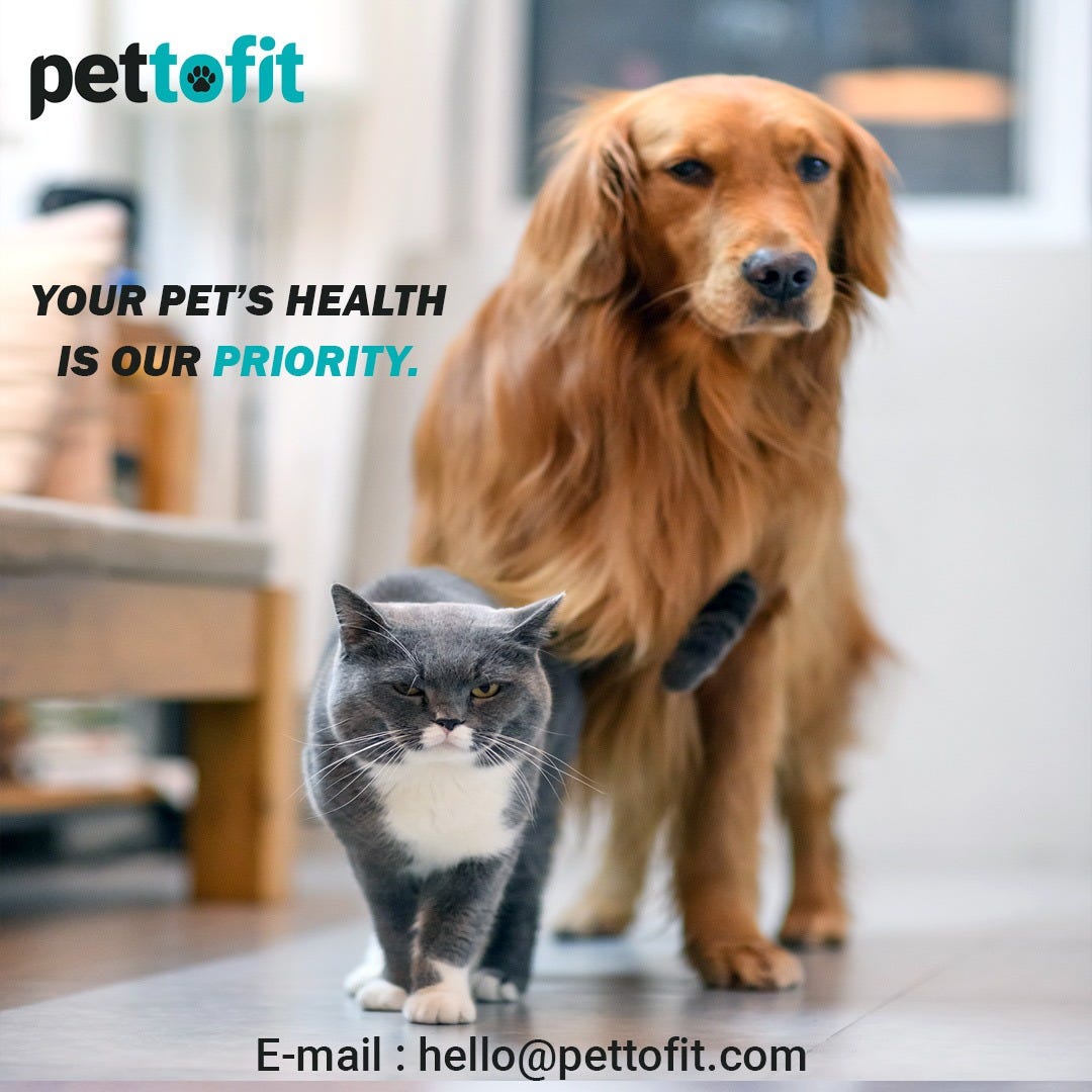 Finding the Right Vet for Your Pet by Pettofit Medium