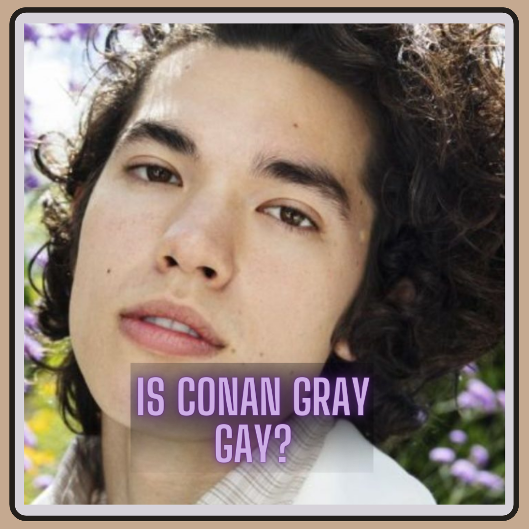 Is Conan Gray Gay?. American singer-songwriter Conan Gray… | by  techradar247 | Medium