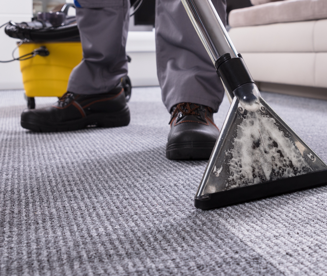 10 Tips for Drying Wet Carpet in Melbourne by The Squeaky Clean Team