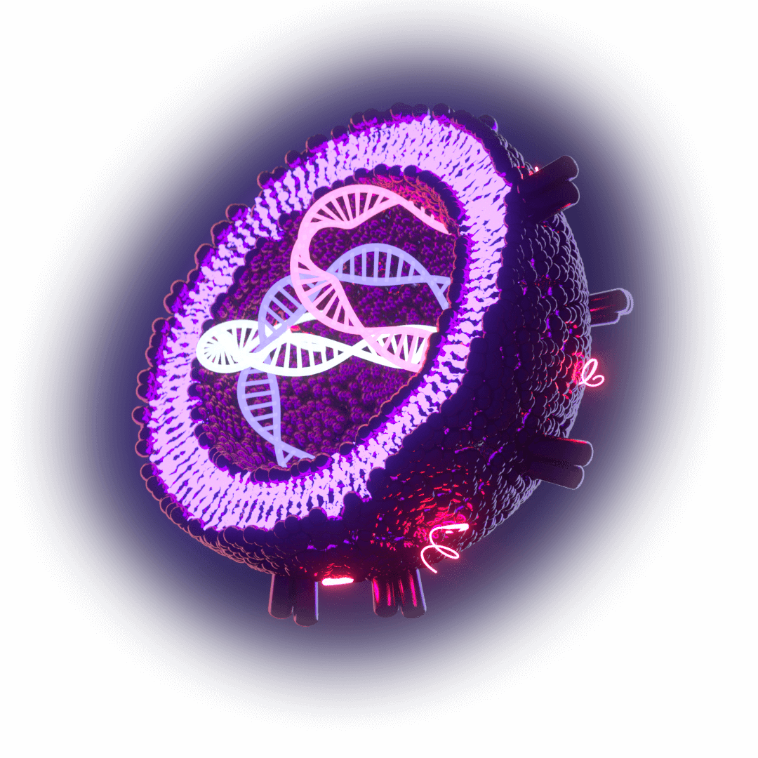An exosome vesicle containing DNA