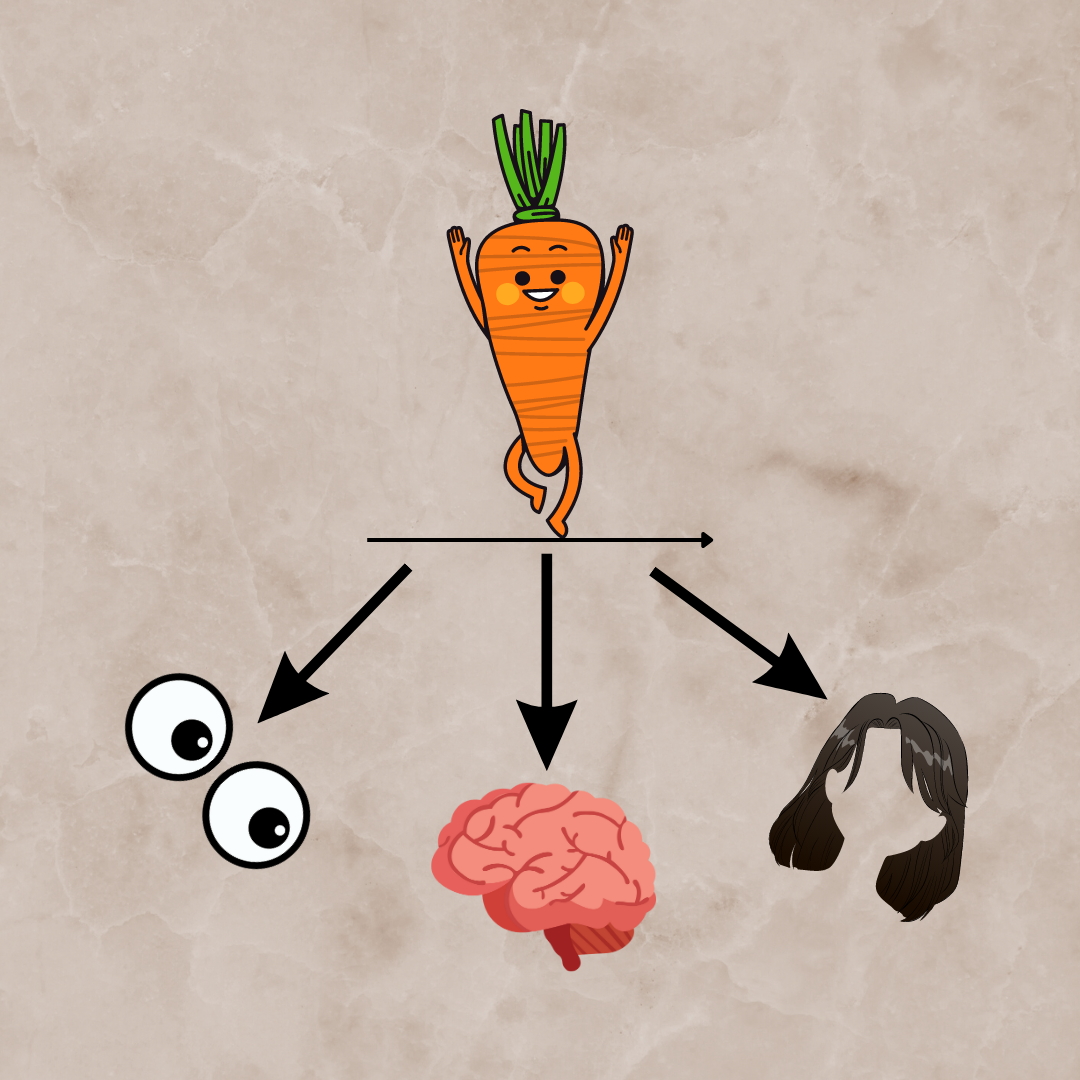 What vitamins are in carrots carrots are one of the most popular by