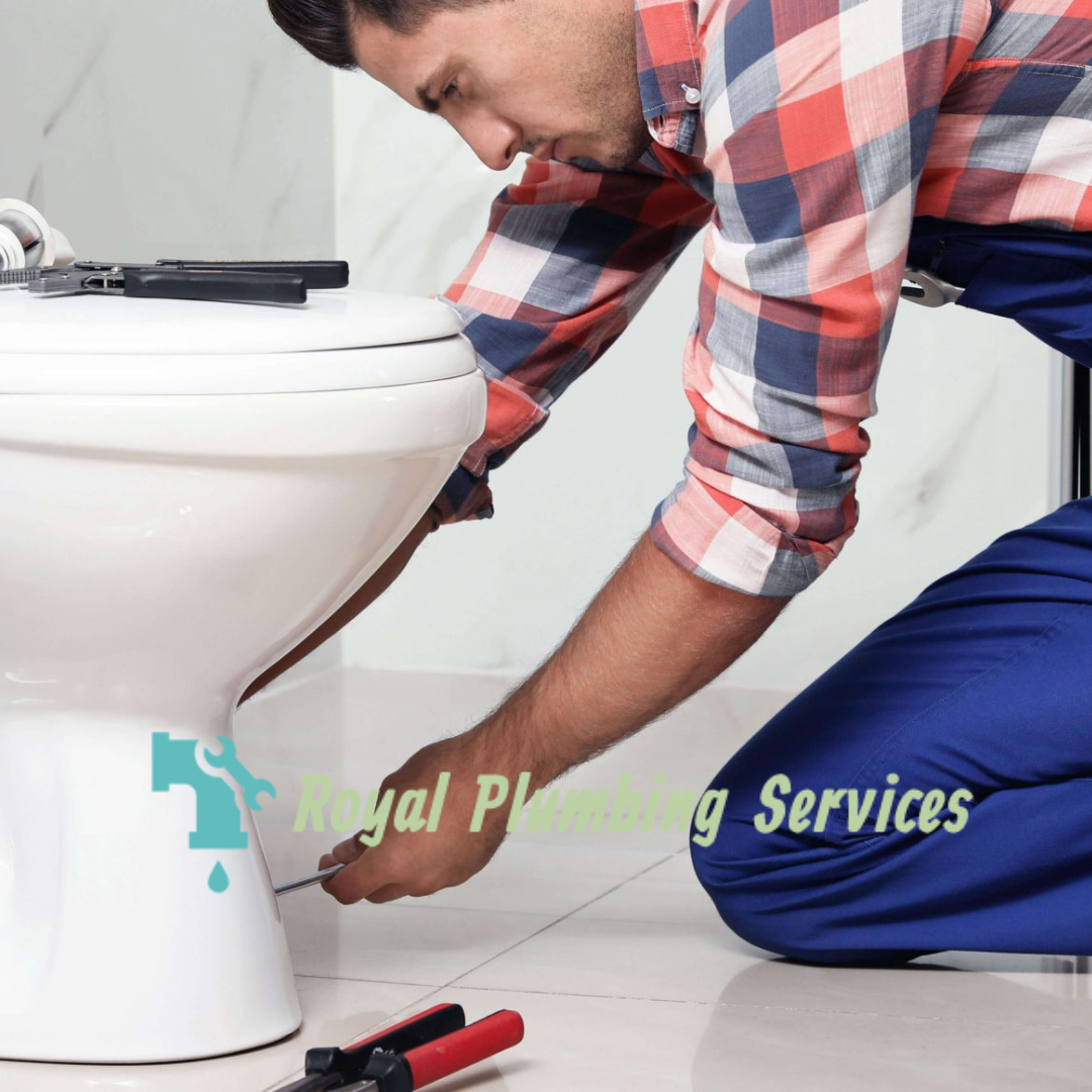 How To Know When A Plumber Is Needed For A Clogged Toilet by Royal
