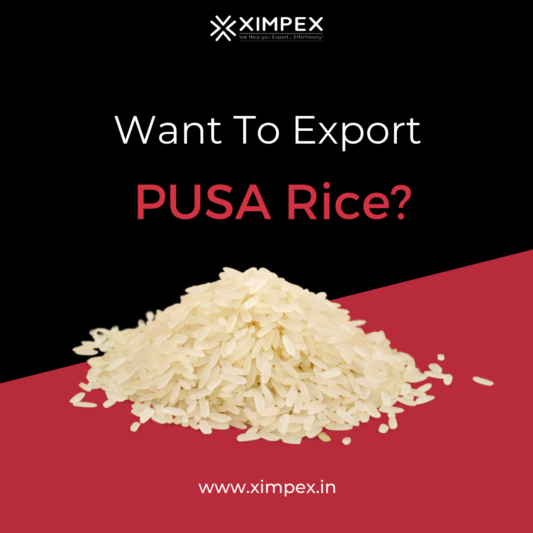want-to-export-pusa-rice-ximpex-medium
