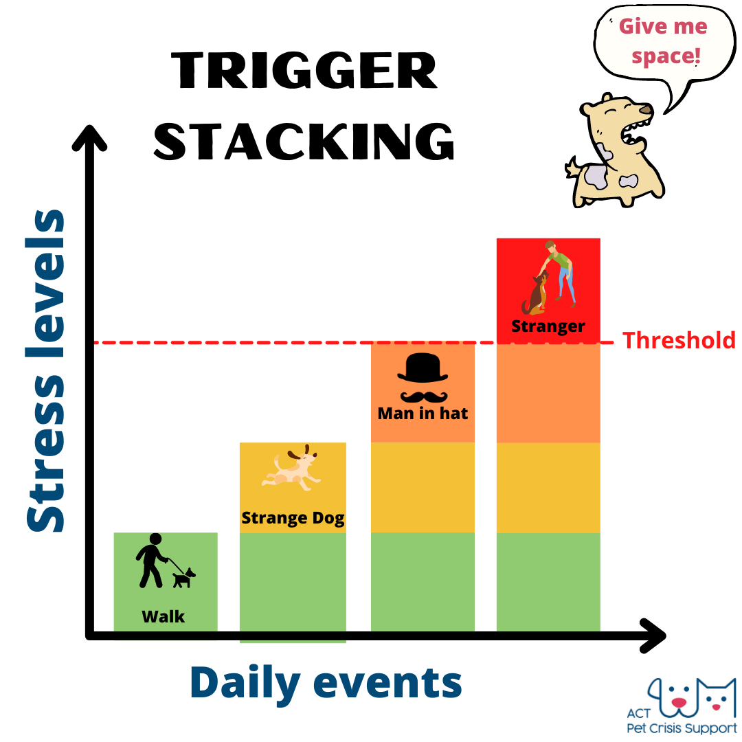 Trigger Stacking. Does your dog ever act completely out… by Dr Eloise