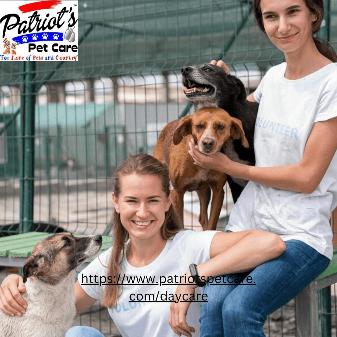 Dog Daycare Columbia SC At Patriot’s Pet Care by Patriot's Pet Care