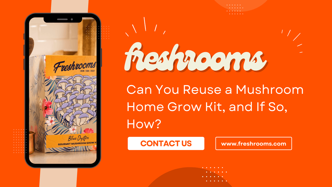 Can You Reuse a Mushroom Home Grow Kit, and If So, How? by Freshrooms