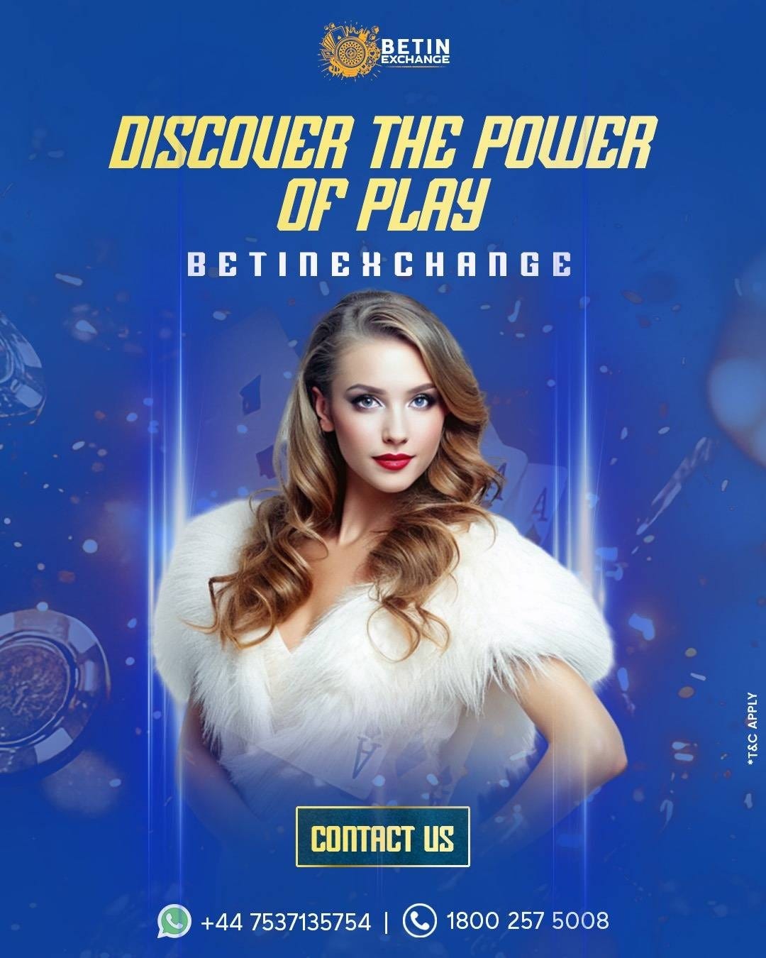 Elevate Your Expertise with Betinexchange