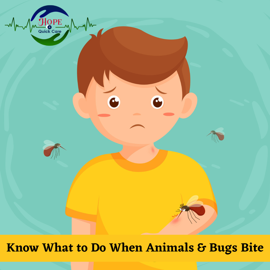 Know What to Do When Animals & Bugs Bite by Hope Quick Care Medium