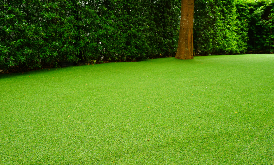 How to Select the Best Artificial Grass for Your Outdoor? Some Great