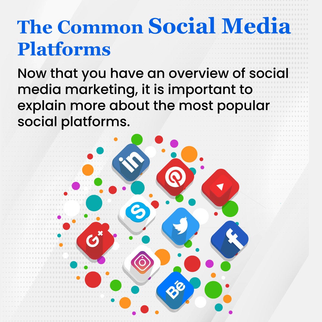 Overview of Common Social Media Marketing Plattforms Digital Media