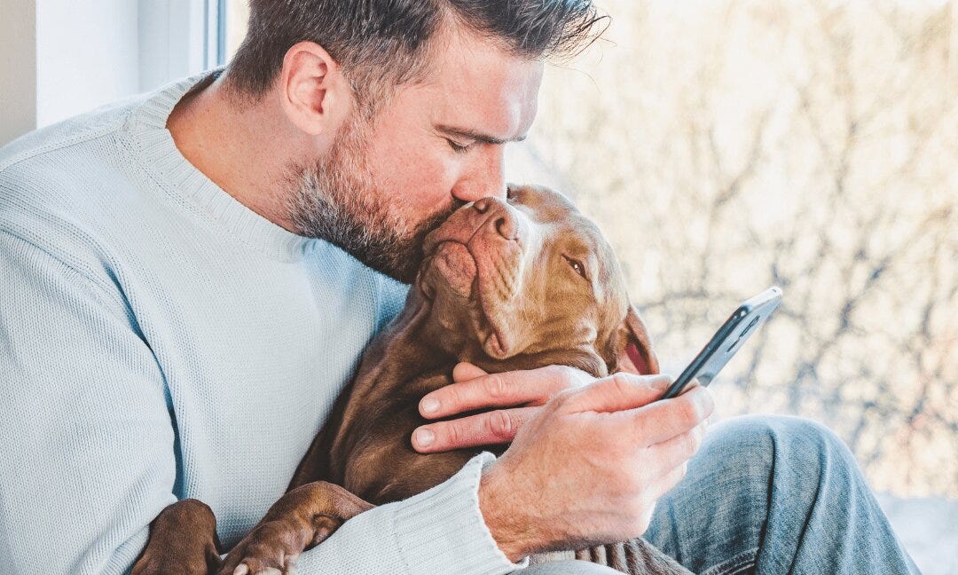 Pet Cremation Services: Best Way to Say Final Goodbye to Your Pets | by ...