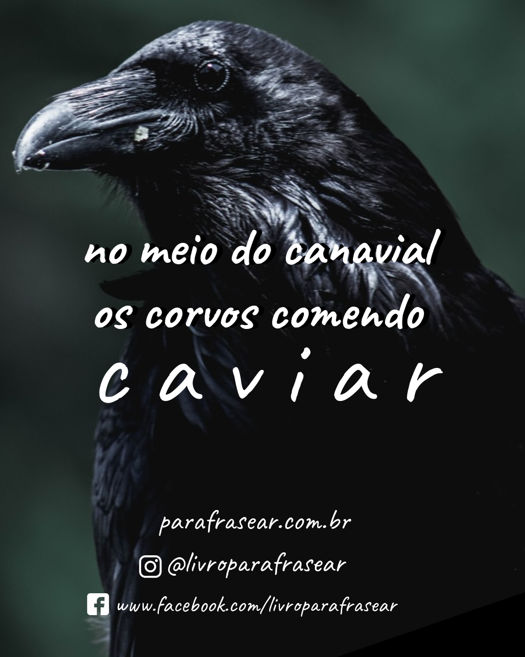 no meio do canavial