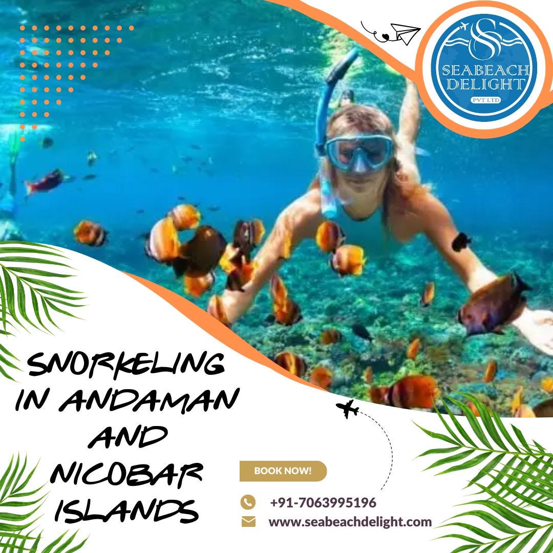 Snorkeling in Andaman and Nicobar Islands - Andaman tour packages - Medium