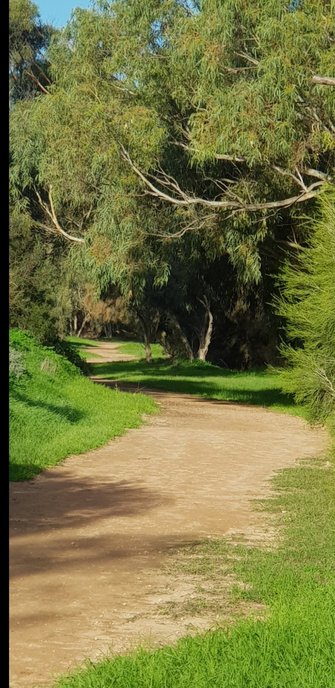 Yarranoo River Track © Lady Donga Diaries 2024