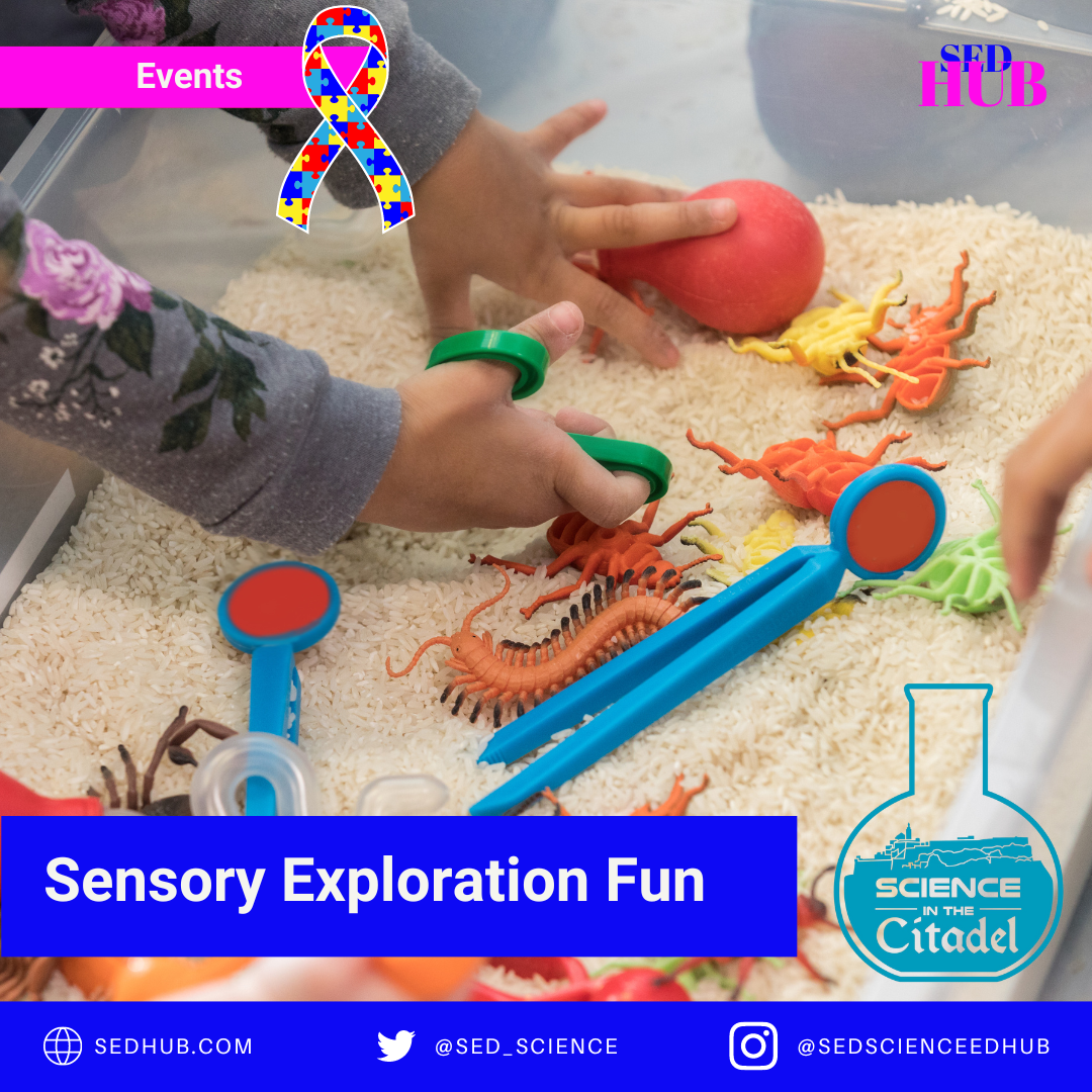 Mystery Materials A Sensory Activity for Individuals with Autism by