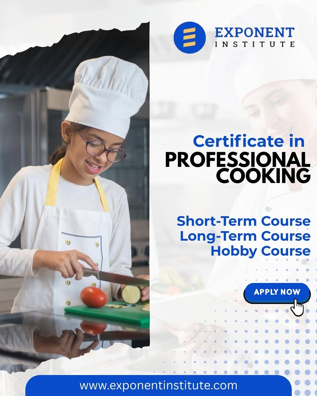Professional Culinary and Hospitality Education: Building the Skills for a Successful Career