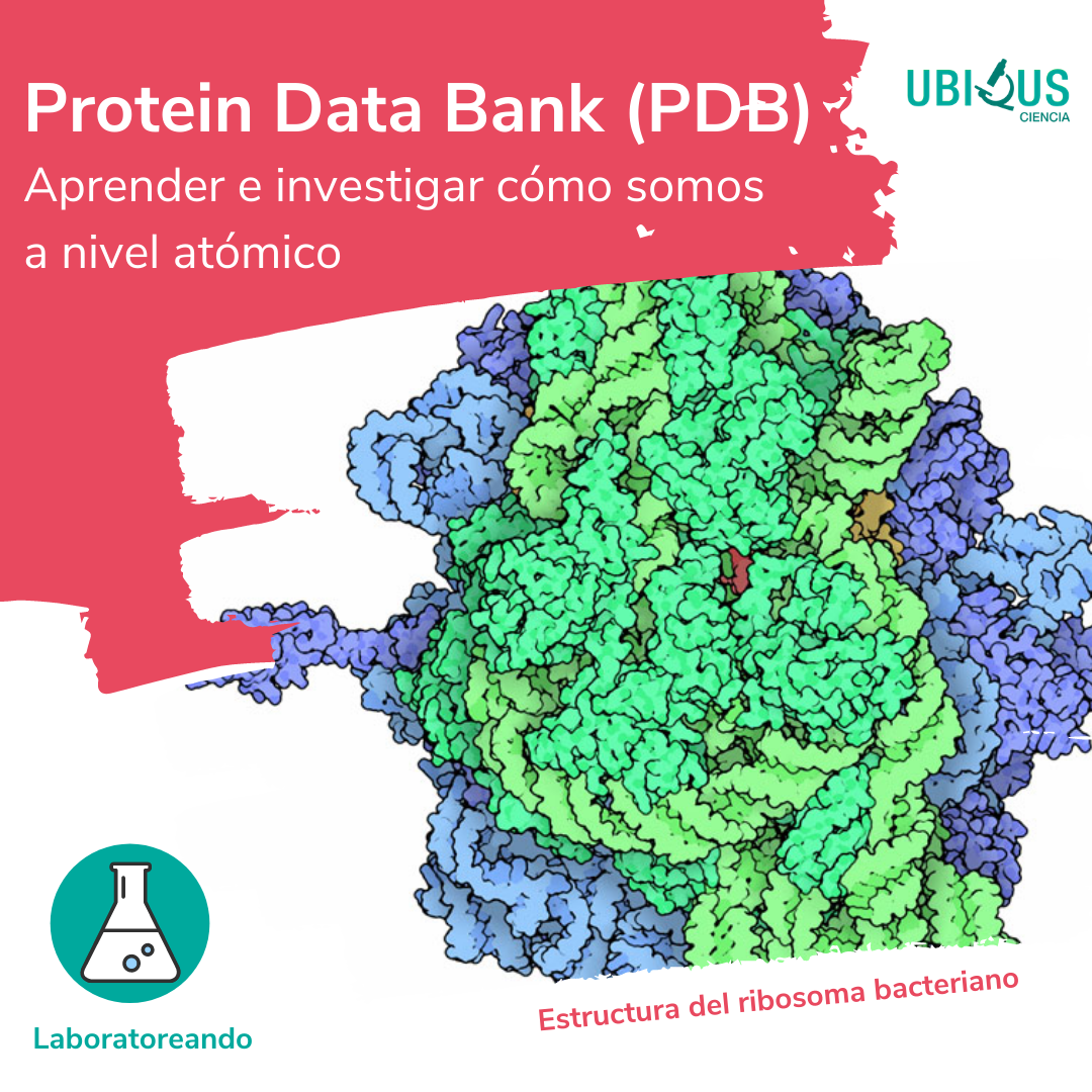 PDB — Protein Data Bank | by Ubiqus Ciencia | Medium