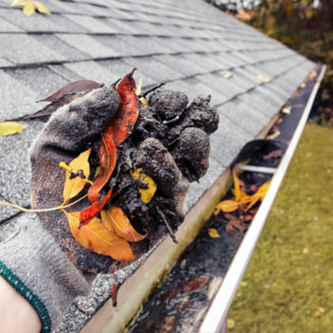 Get The Best Gutter Cleaning Near Ocala, FL Gatorland Gutters Medium
