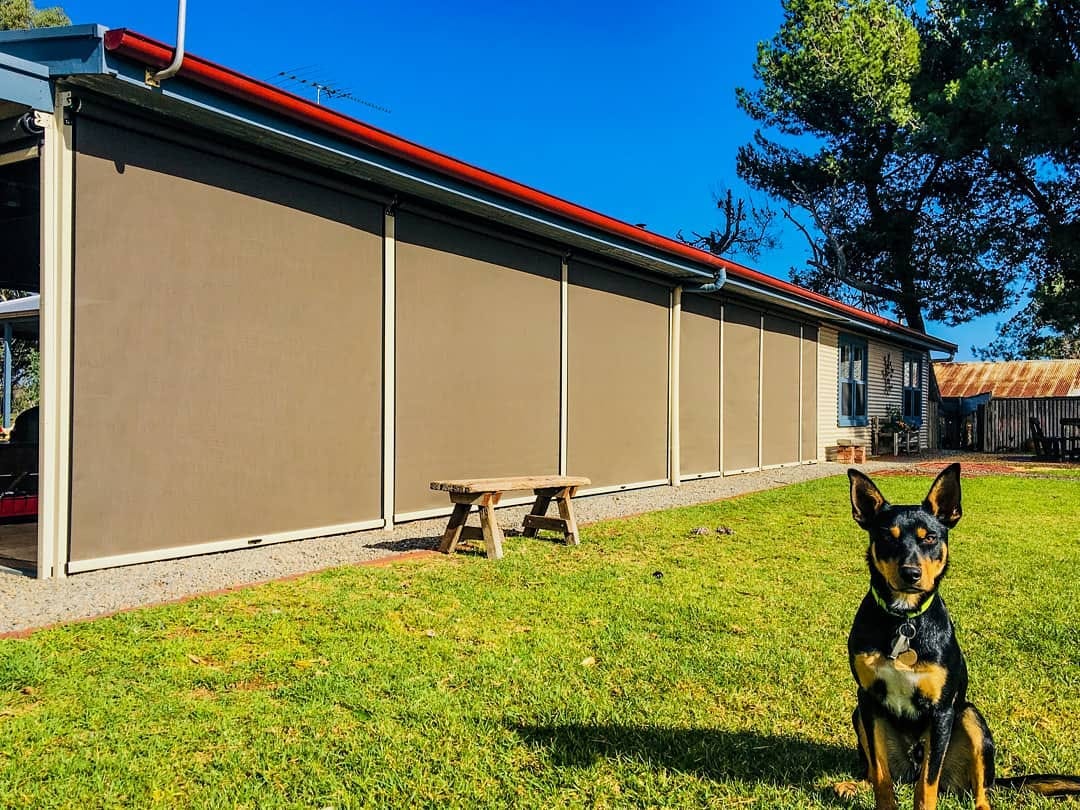 Why You Should Install Roller Shutters In Your Adelaide Home by Nest & Necessities Sep, 2023