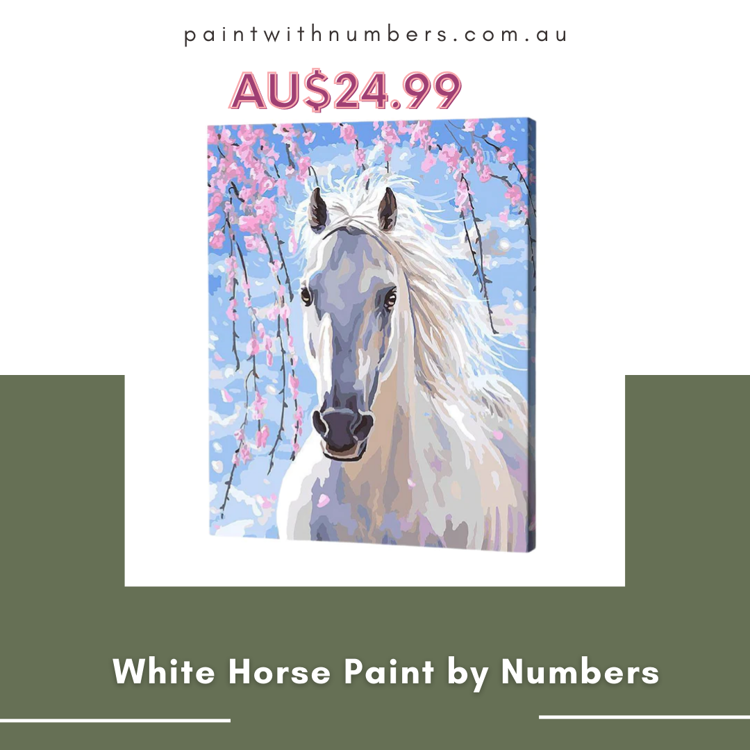 White Horse Paint by Numbers Paint by Numbers Australia Medium