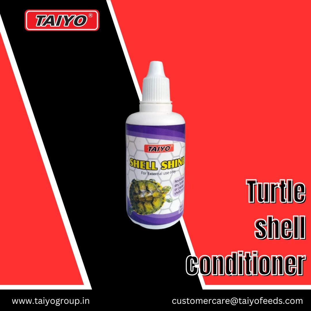 Turtle shell conditioner Ganesh Medium