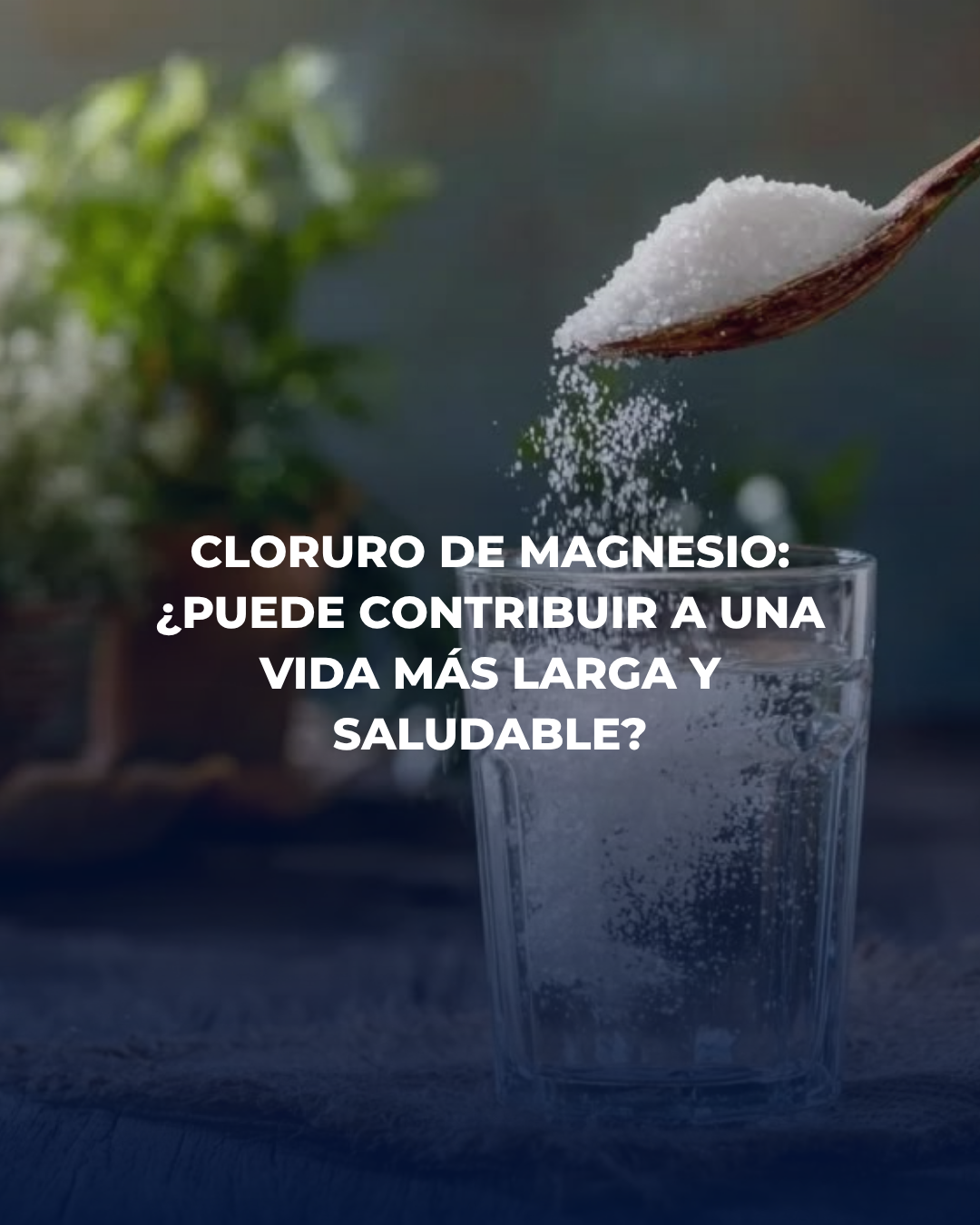 En el mundo de la longevidad, pocas sustancias generan tanto interés como el cloruro de magnesio.