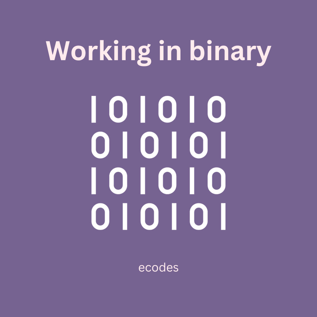 Working in binary. Introduction | by Erica Pantoja | Oct, 2023 | Medium