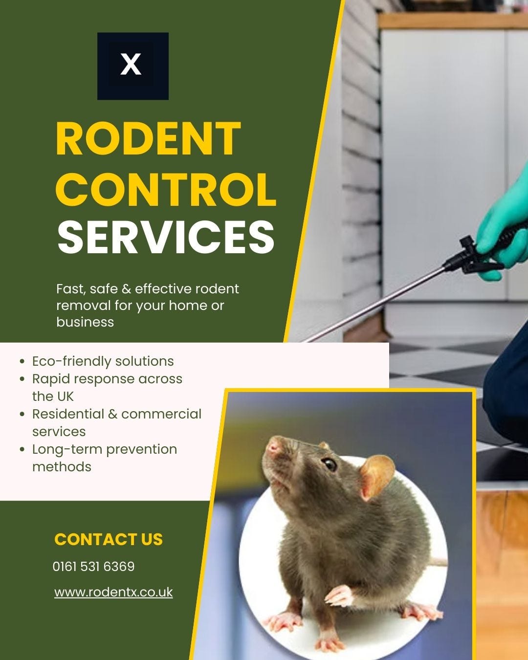 10 Signs You Need Professional Pest Control Immediately