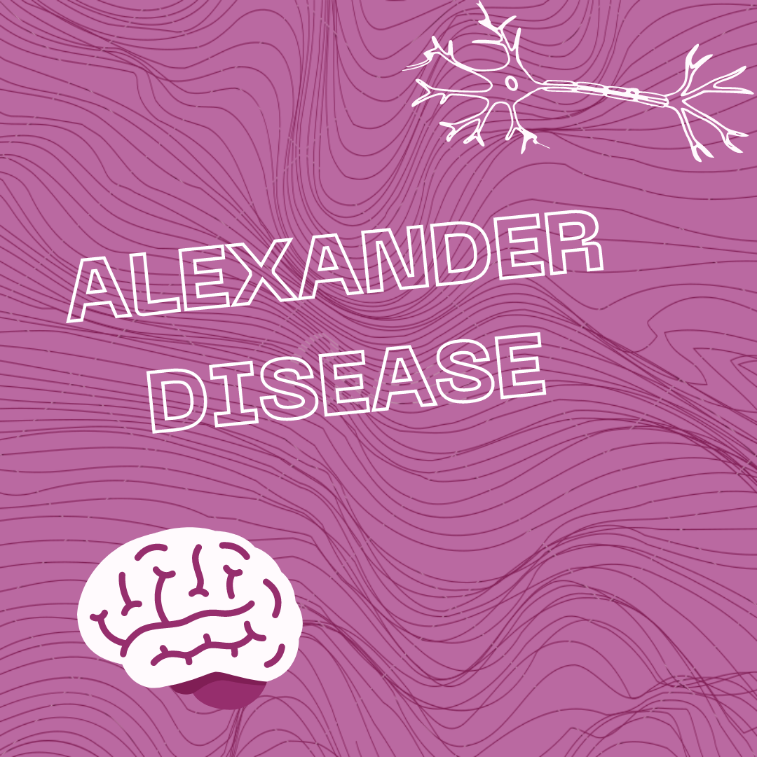 Alexander Disease Luthfa Bushra Medium