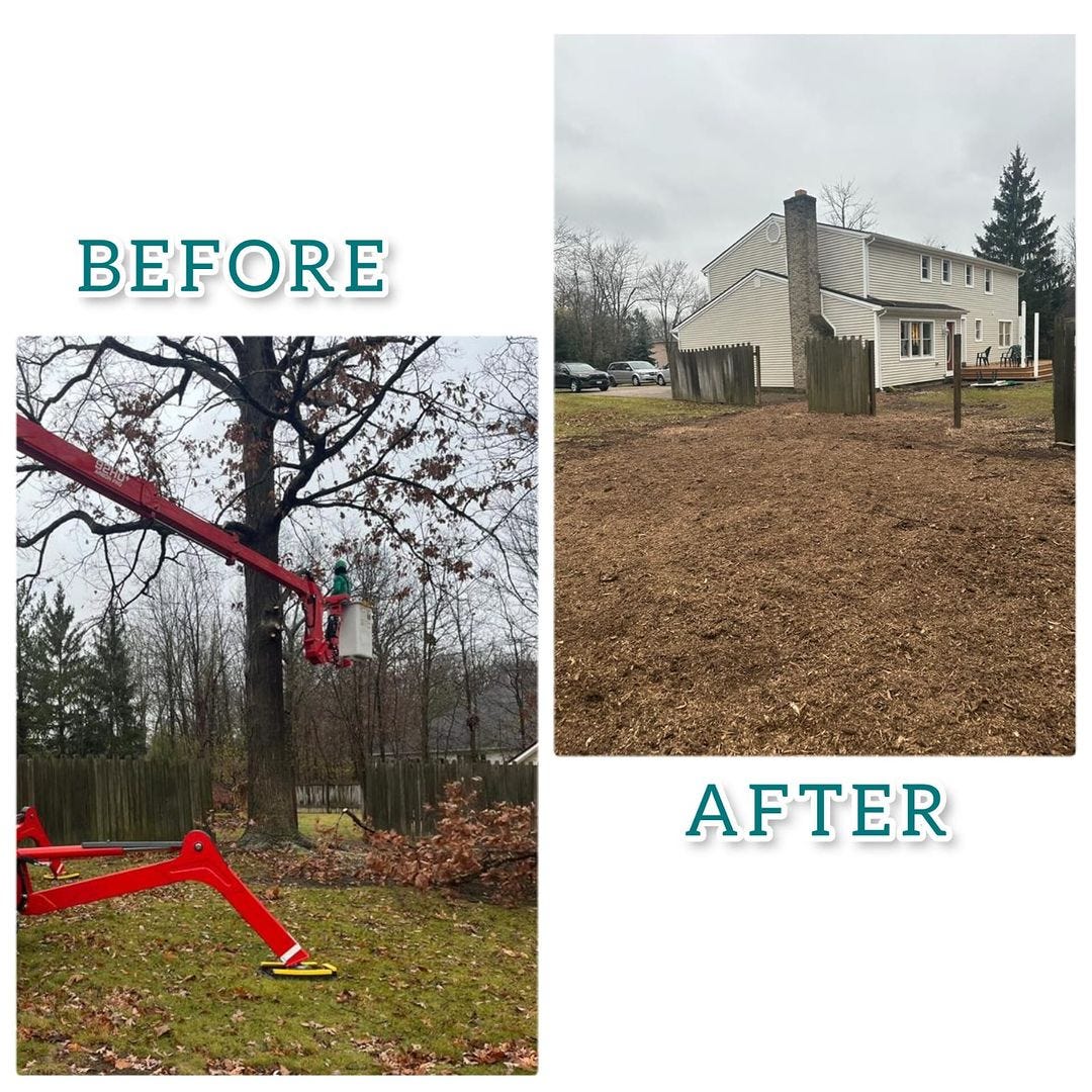 Elevate Your Landscape with KD Tree Service in Syracuse, NY KD Tree