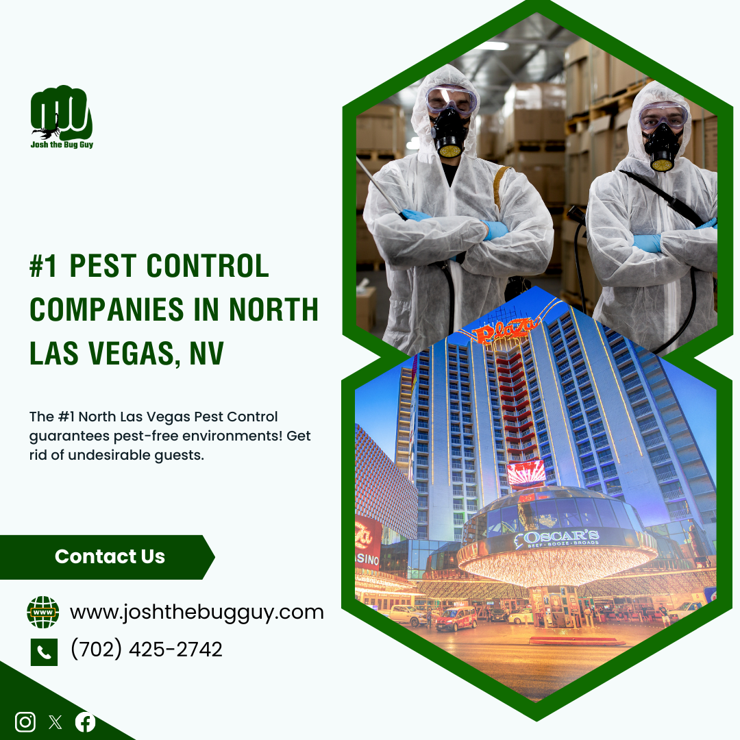 Effective Pest Control in Las Vegas Your Solution to a PestFree Home