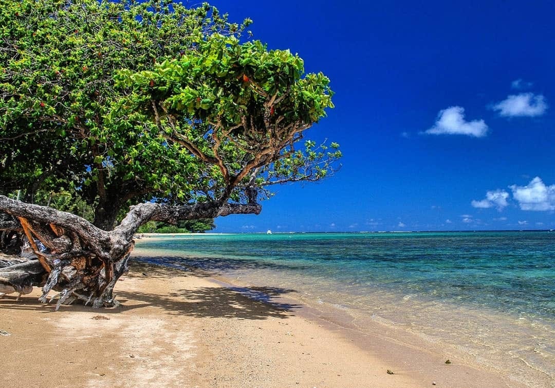 Anini Beach (Kauai) Best Family Beach in Hawaii 2023 Amazingworld
