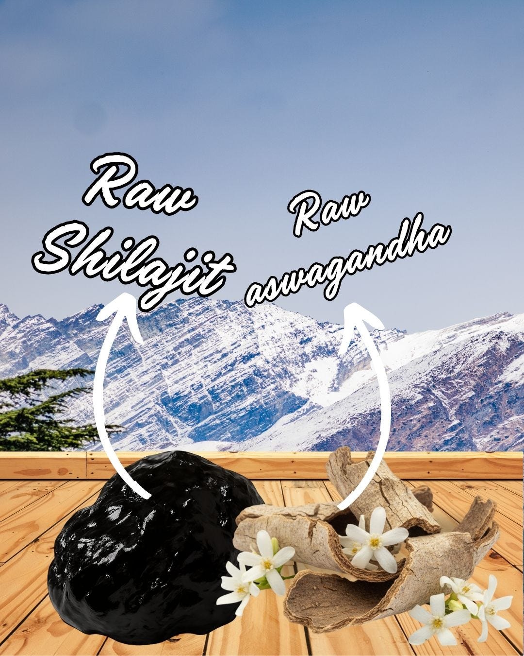 The Dual Power of Ayurveda: Can We Take Ashwagandha and Shilajit Together?