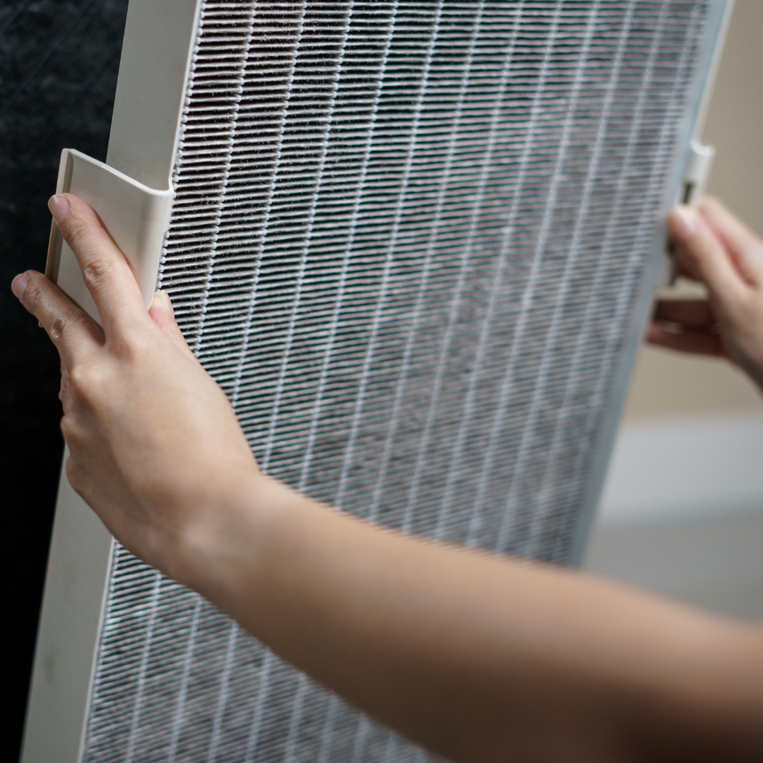 5 Tips For Maintaining Your Air Purifier by Carlimuja Medium