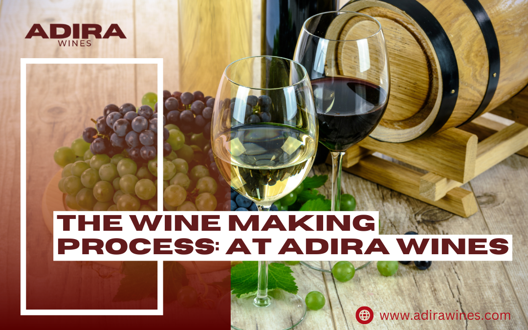 The Wine Making Process Step by Step — Adira Wines Adirawiness Medium