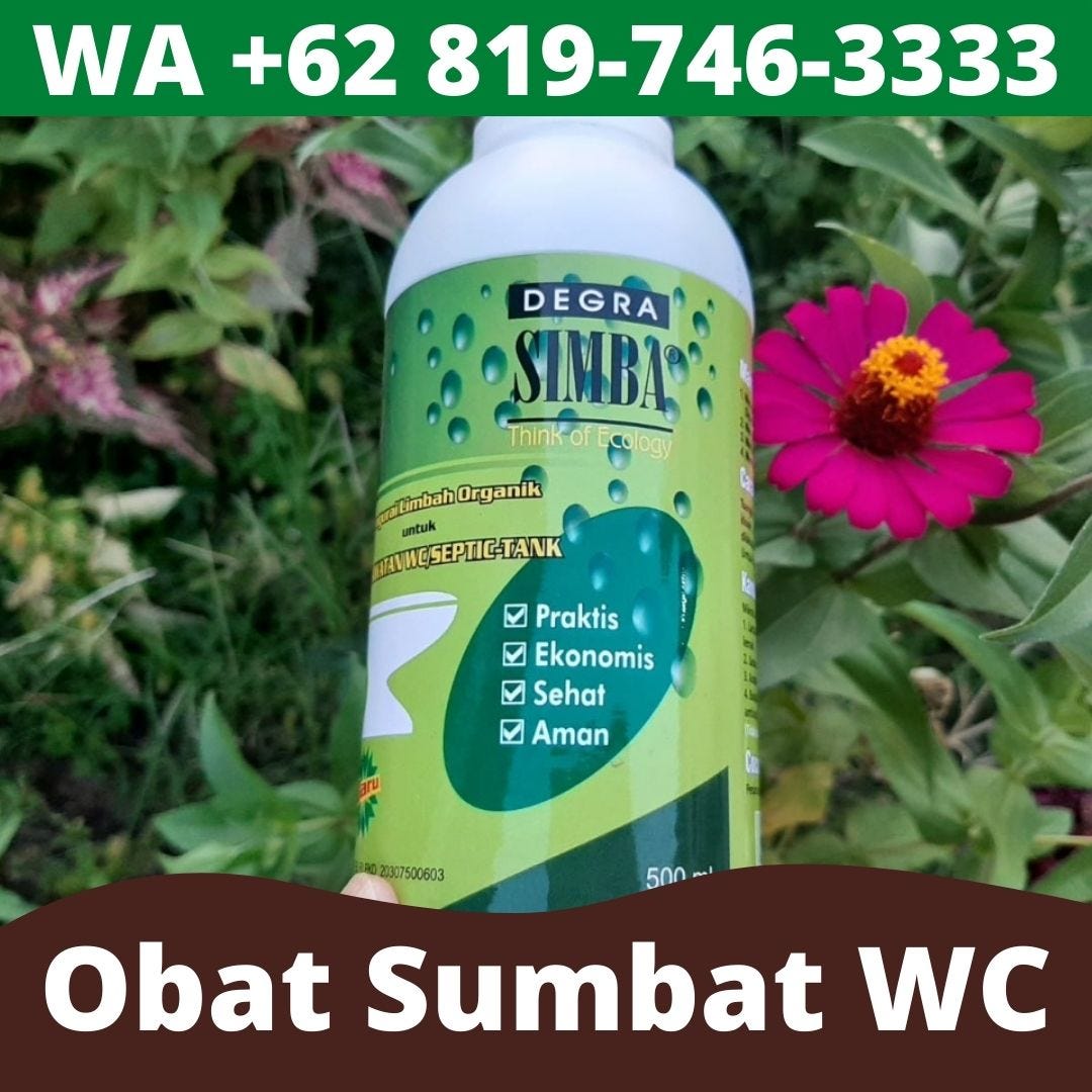 PALING DICARI! WA +62 819–746–3333, Solusi WC Mampet Septictank Penuh