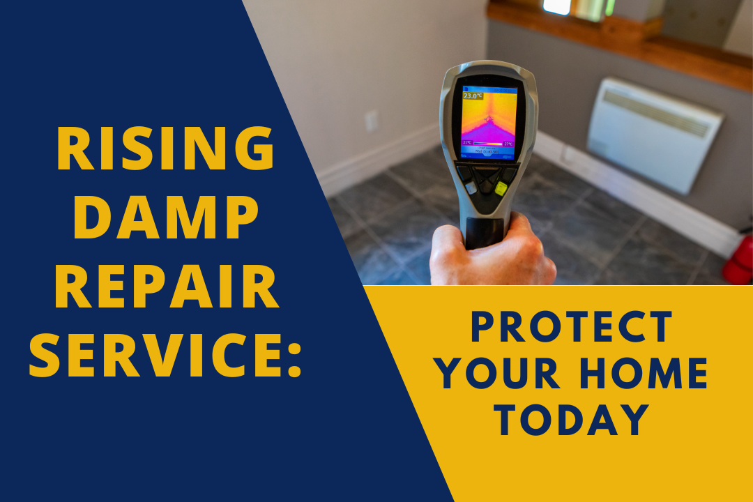 Rising Damp Repair Service: Protect Your Home Today