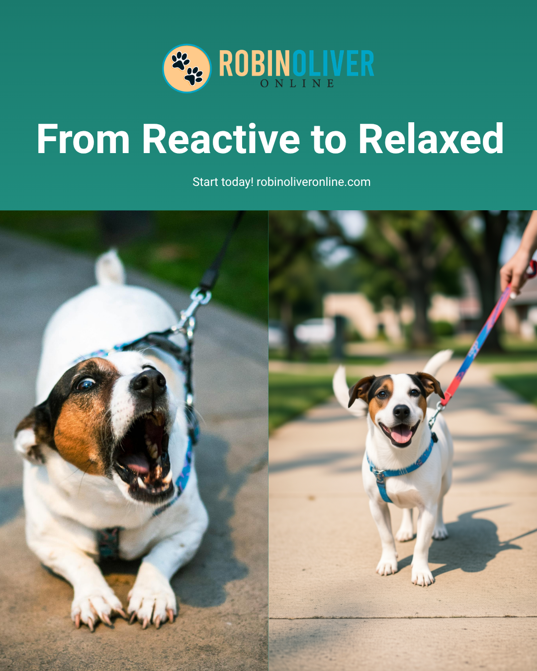 From Reactive to Relaxed
