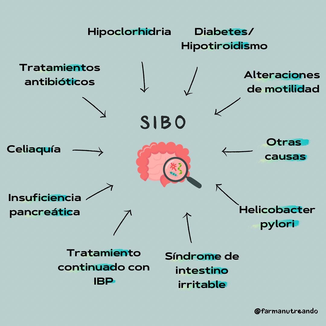 Origen de tu SIBO 🦠🧫. El SIBO o sobrecrecimiento bacteriano… by