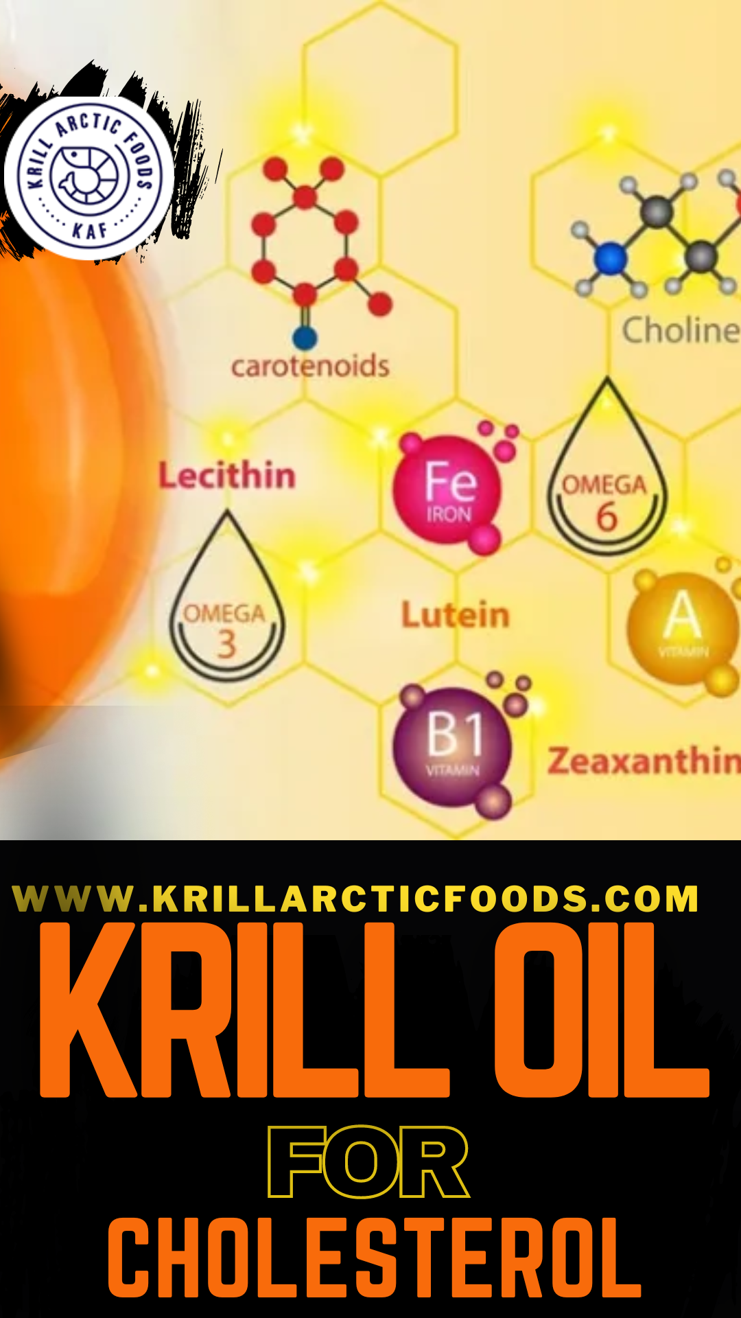 Is krill oil good to lower cholesterol? Krill Arctic Foods Medium