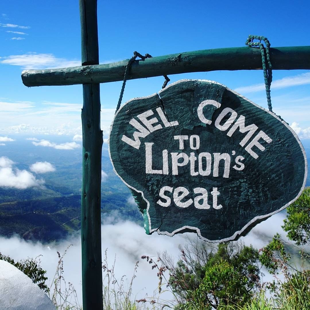 Exploring Lipton Seat, Sri Lanka: The Birthplace of Ceylon Tea