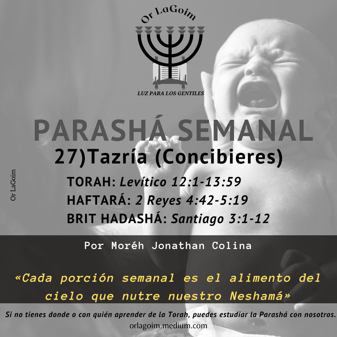 Parashá Tazría (Concibieres)