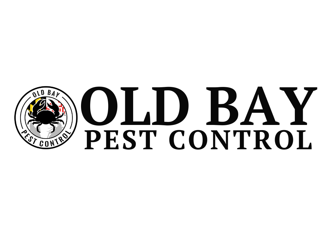Safe Effective Pest Control For Greater Anne Arundel Co by Cloud 