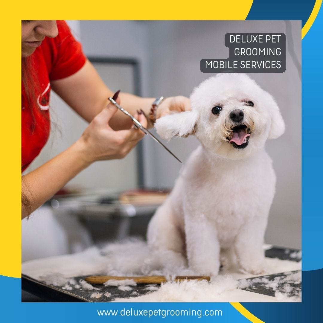 Mobile Pet Grooming — Hialeah, Florida by Deluxe Mobile Pet Grooming Sep, 2023 Medium