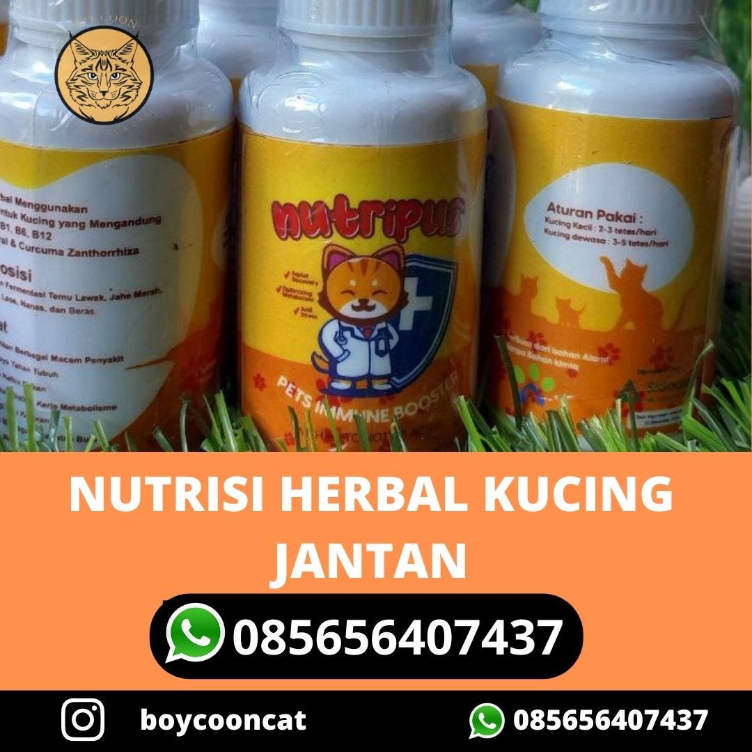NUTRISI HERBAL KUCING JANTAN. NUTRISI HERBAL KUCING JANTAN by