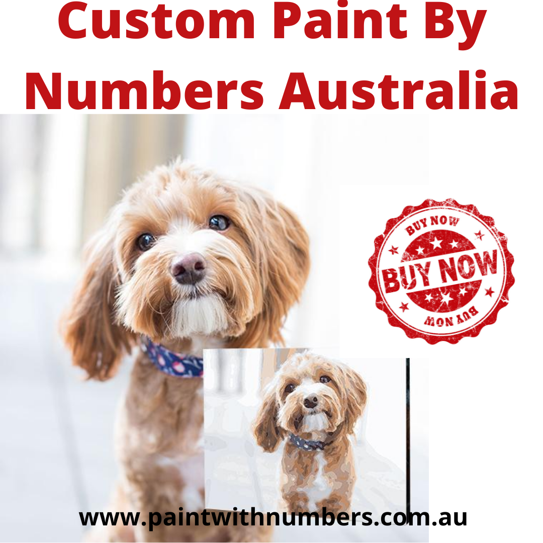 LET’S DIVE INTO THE WORLD OF CREATIVITY — CUSTOM PAINT BY NUMBERS