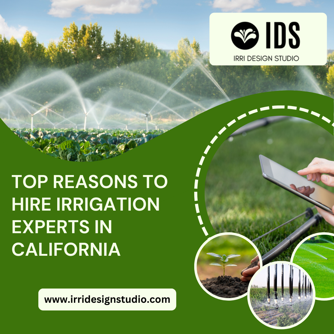 Top Reasons to Hire Irrigation Design Professionals in California
