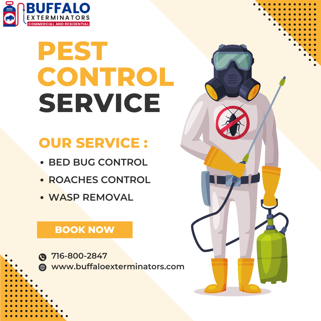 Mice Exterminators Buffalo Buffaloexterminators Medium