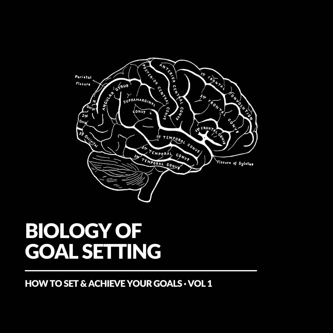 Goal-Getter’s Handbook: 5 Essential Steps to Set and Achieve Your 2026 Aspirations